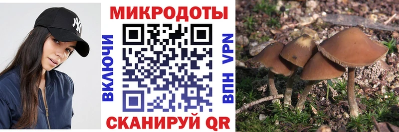 kraken маркетплейс  Тында  Псилоцибиновые грибы мухоморы 